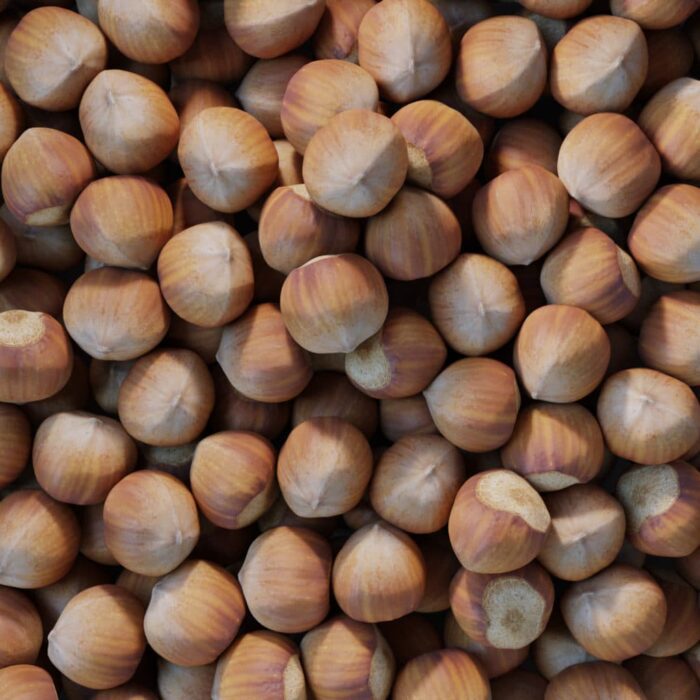 BB 63 hazelnut 05 1024x1024 1