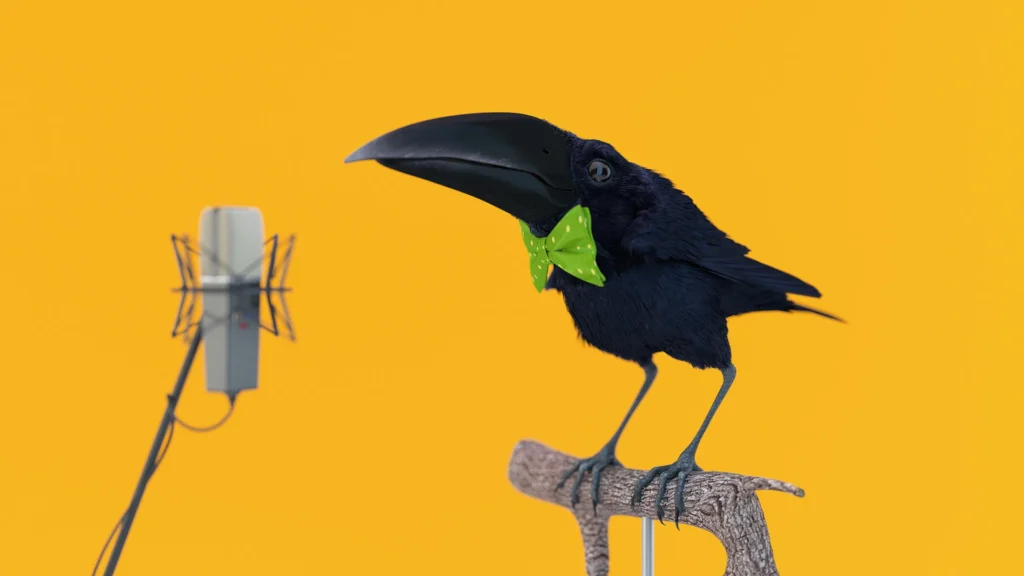 damian majcherek k01